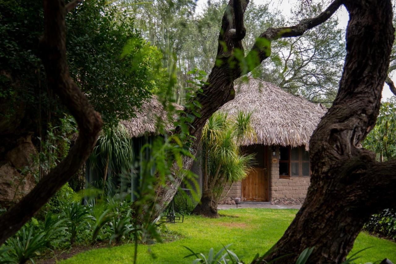 Nirvana Restaurant & Retreat Atotonilco  Dış mekan fotoğraf